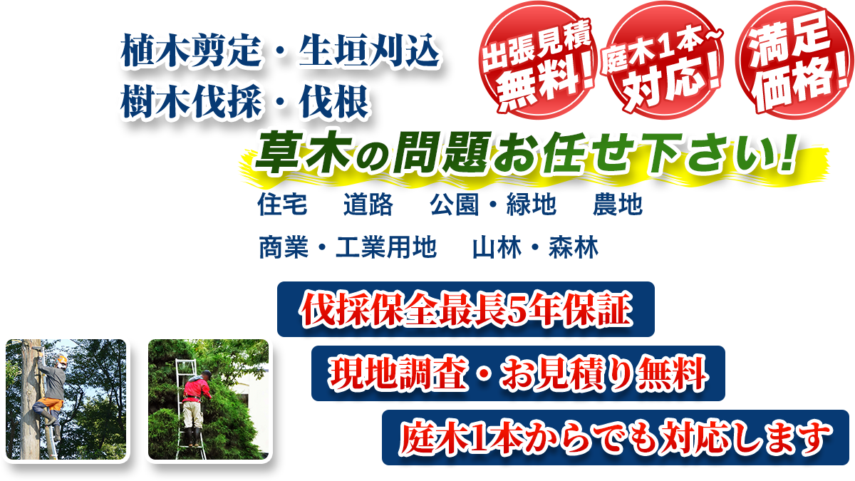 船橋エリア即対応!! 出張無料! 庭木1本~対応! 満足価格! 植木剪定・生垣刈込 樹木伐採・伐根 草木の問題お任せ下さい! 住宅 道路 公園・緑地 農地 商業・工業用他 山林・森林 伐採保全最長5年保証 現地調査・お見積り無料 庭木1本からでも対応します